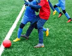 洪金宝再现,身影视圈,动作戏魅力,星空娱乐,星空娱乐官网