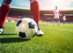 星空娱乐,资讯,星空娱乐官网,星空娱乐,星空娱乐官网