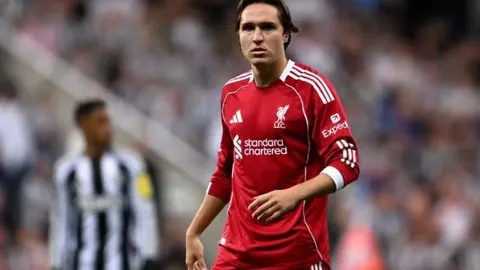 星空娱乐 资讯 122835 vj3