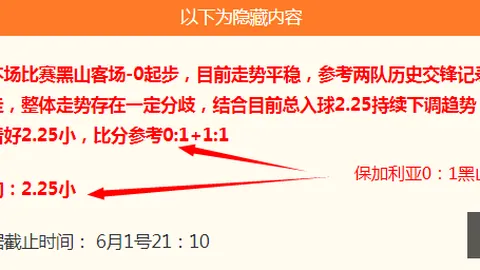 芬兰杯今战必，星空娱乐App，拿分不容错过的焦点对决