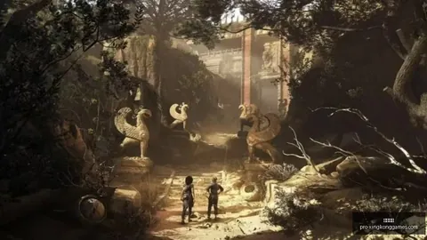 星空娱乐 114055