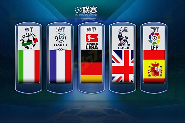 国主导的会